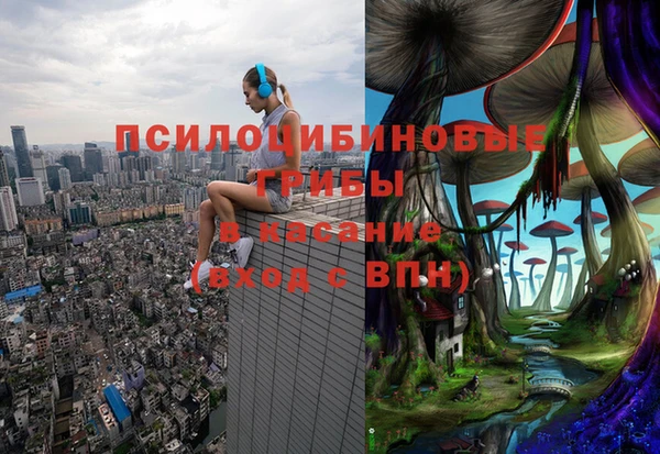 тгк Балахна