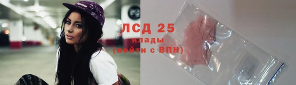ECSTASY Липки