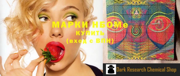 индика Аркадак